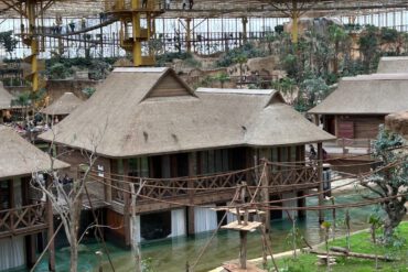 Overnachten edenya pairi daiza the rockhaven