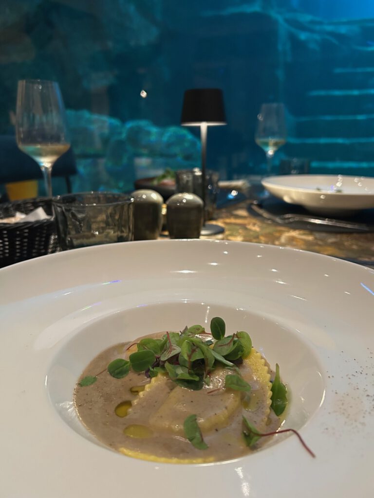 Overnachten edenya restaurant abyss