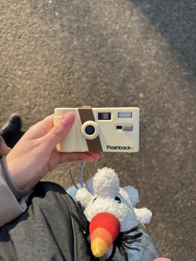 Pretparkhopper flashback camera pjotr efteling