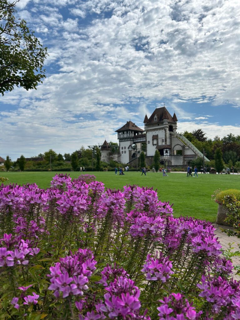 Pretparkhopper tripsdrill