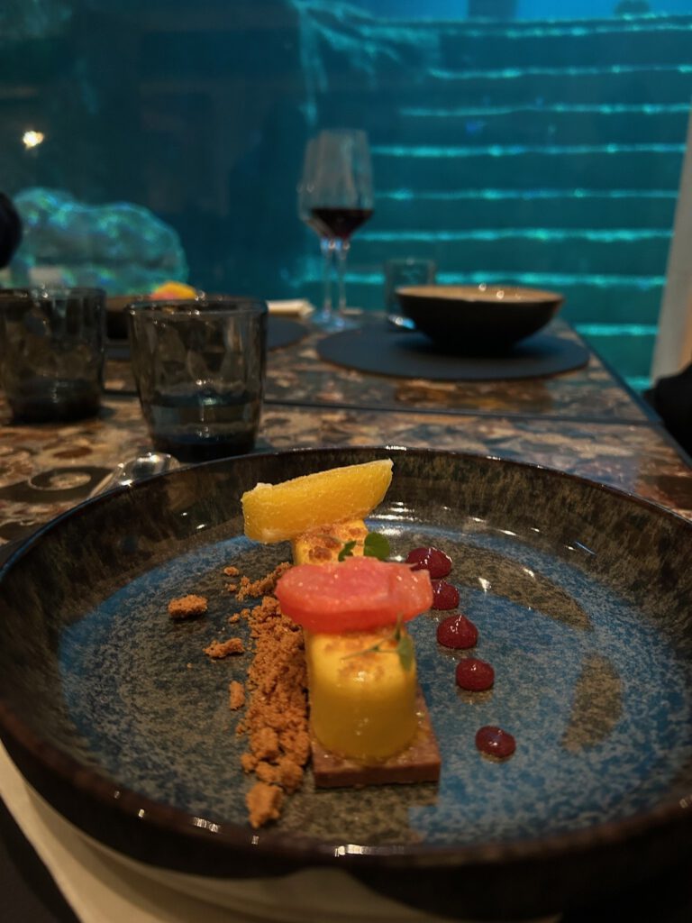 Pretparkhopper the abyss entremet