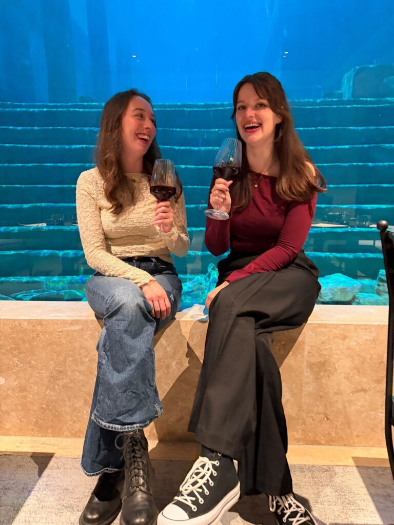 Pretparkhopper the abyss review