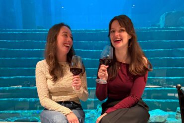 Pretparkhopper the abyss review